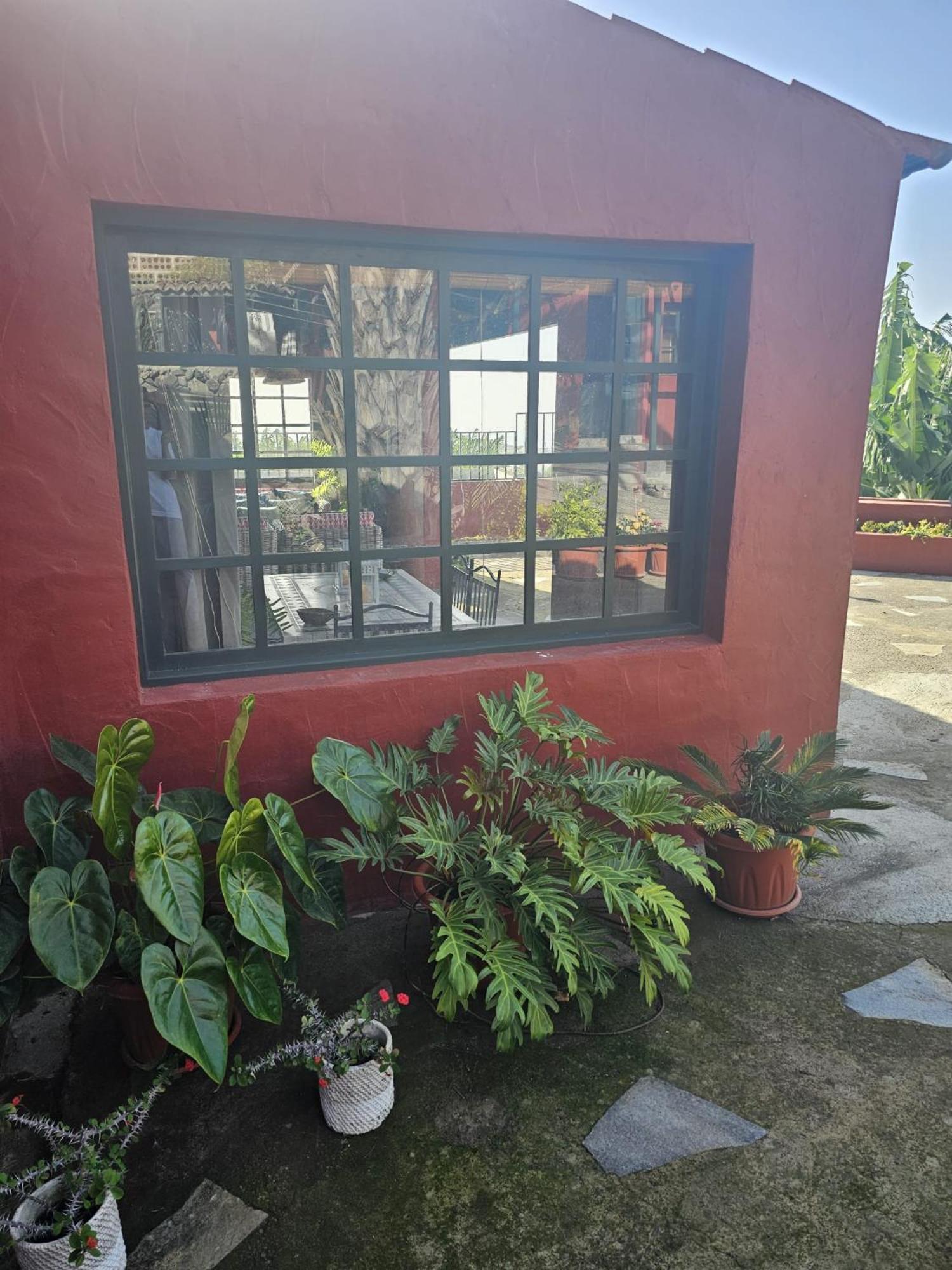 Casa Rural El Pinito Con Piscina Privada El Paso Eksteriør billede